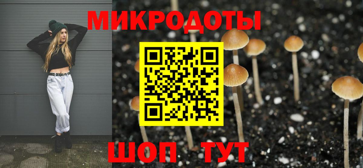 Долгопрудный  Псилоцибиновые грибы MAGIC MUSHROOMS  Вход с VPN 